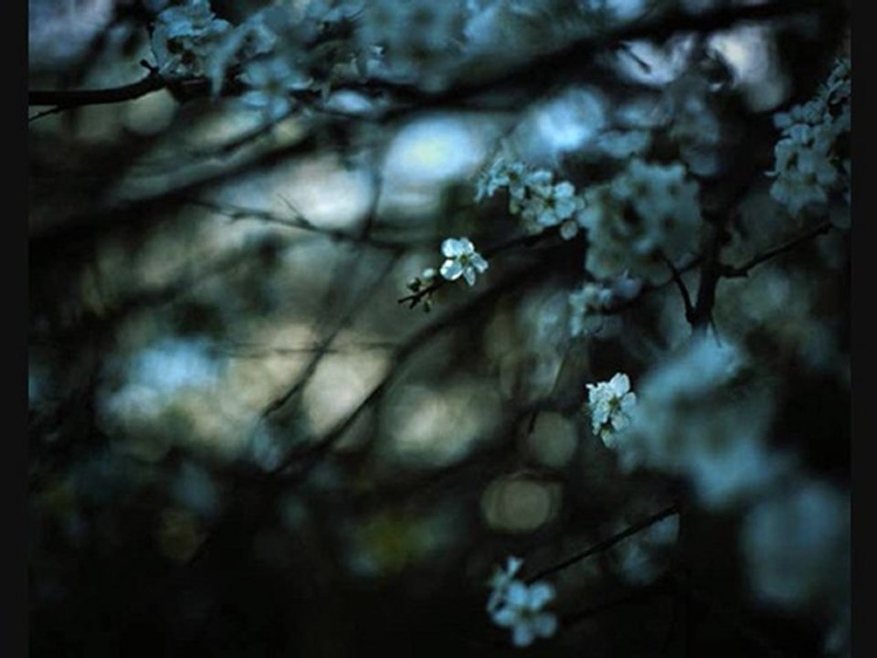 1-Relaxing music - Douce Nuit ( Chlorophylle : Douce Nuit )