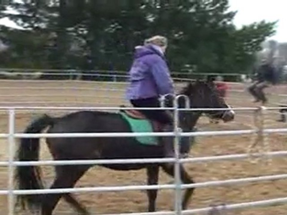 Daling-19 mars 2011*