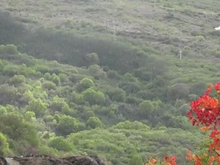 Saint-Paul à la Réunion