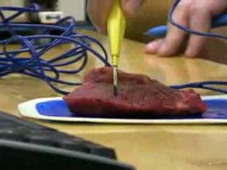 Augment Your Skills Under Centennial's Unique Bioinformatics Course