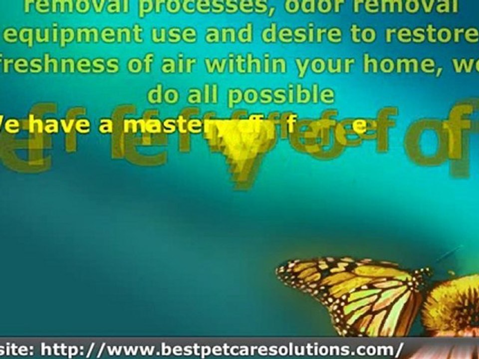 Anti Icky Poo Safe Odor Removal Calgary Canada: - Pee Odour Removal