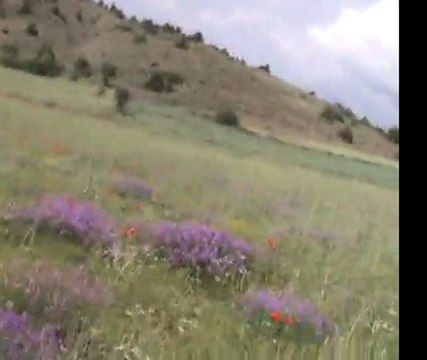 Alucra Hayran Çevresi Kaval Sesi