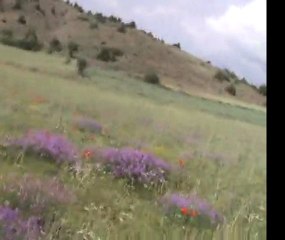 Alucra Hayran Çevresi Kaval Sesi