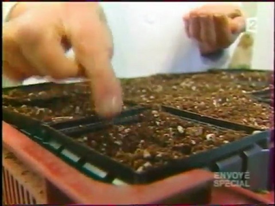 Reportage avec les pépinières ROBIN dans l'emission Enyoyé spécial