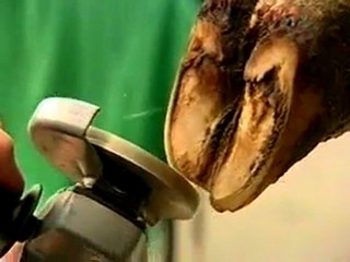 Tırnak Kesim Bıçakları