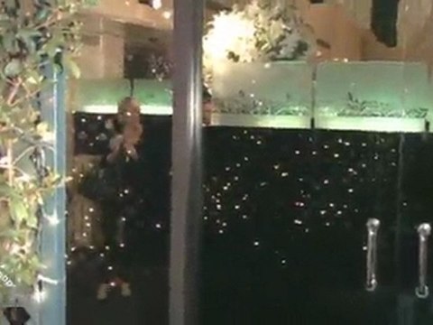 Paris Hilton & Cy Waits Romantic Dinner