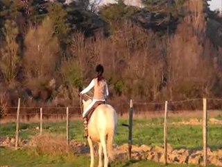 Travail du 24 mars avec Kiss sous le coucher du soleil