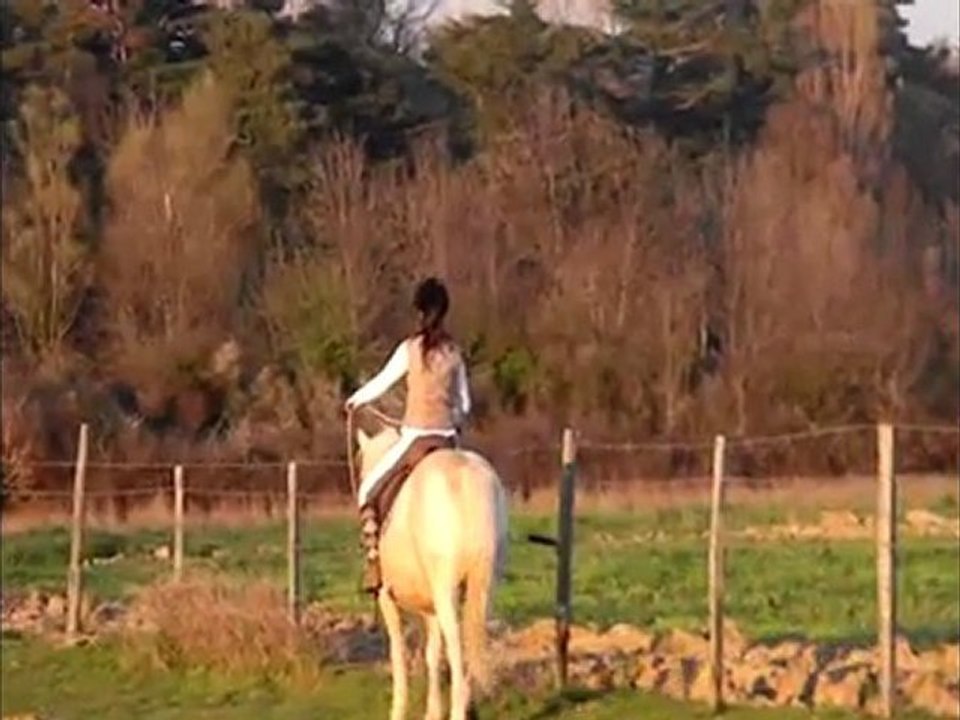 Travail du 24 mars avec Kiss sous le coucher du soleil