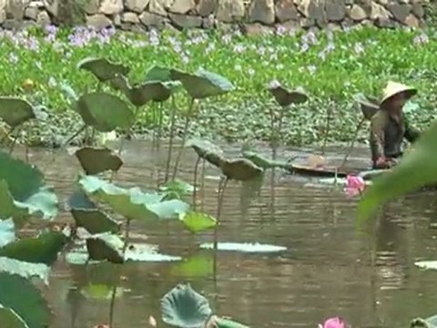 aventura de viajes Vietnam, vacaciones Cambodia - viajeindochina.com