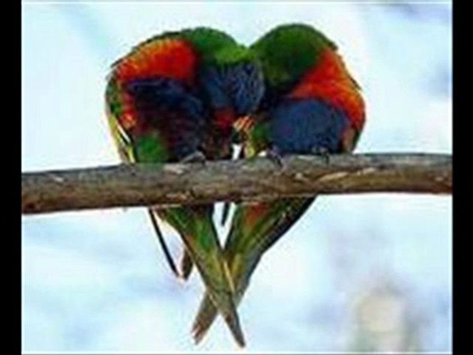 Numan Hadi - Kahretsin Sevmişim