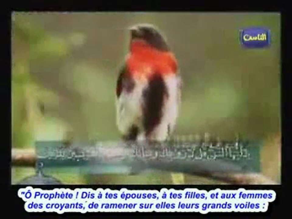 Ne te voiles pas la vérité et porte le voile