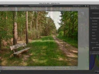 video2brain - Nik Software Collection Complète