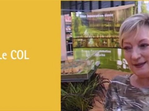 Avrilexpo, salon des antiquaires, solutions maison