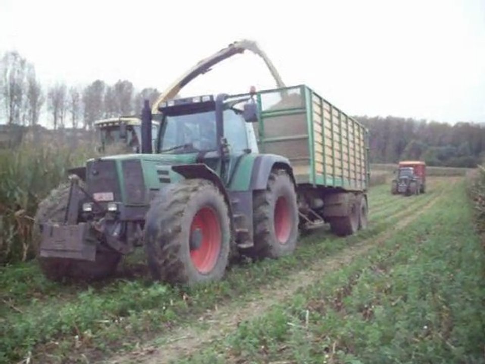 Maïs 2010 par Otten !