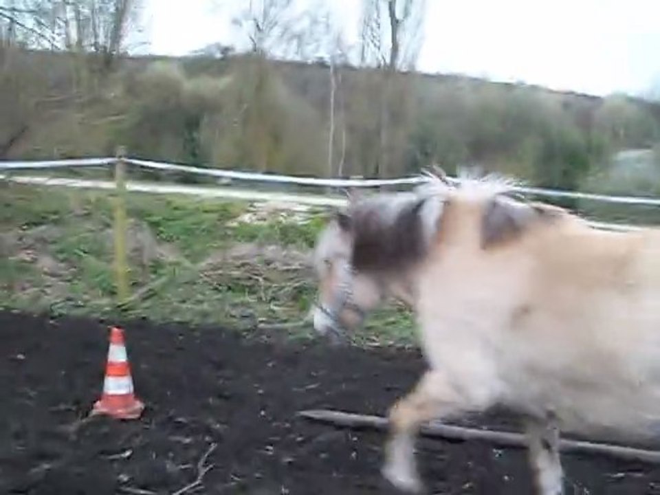 Suzette en mode pas motivé pour sauté