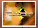 VIDA EN LA ECONOMIA por EFREN LOZANO HERNANDEZ 