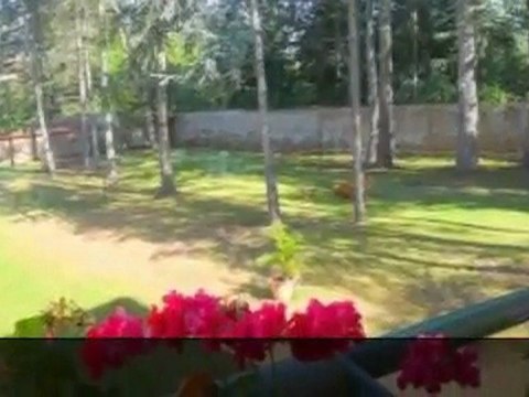 ANDREZIEUX BOUTHEON proche VEAUCHE VENTE APPARTEMENT T3