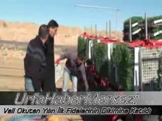 Vali Okutan Yılın İlk Fidelerinin Dikimine Katıldı