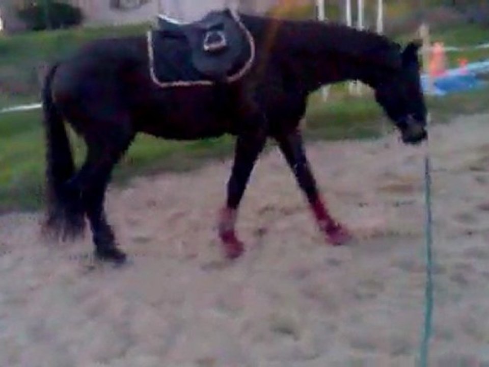 longe 2 TFLY
