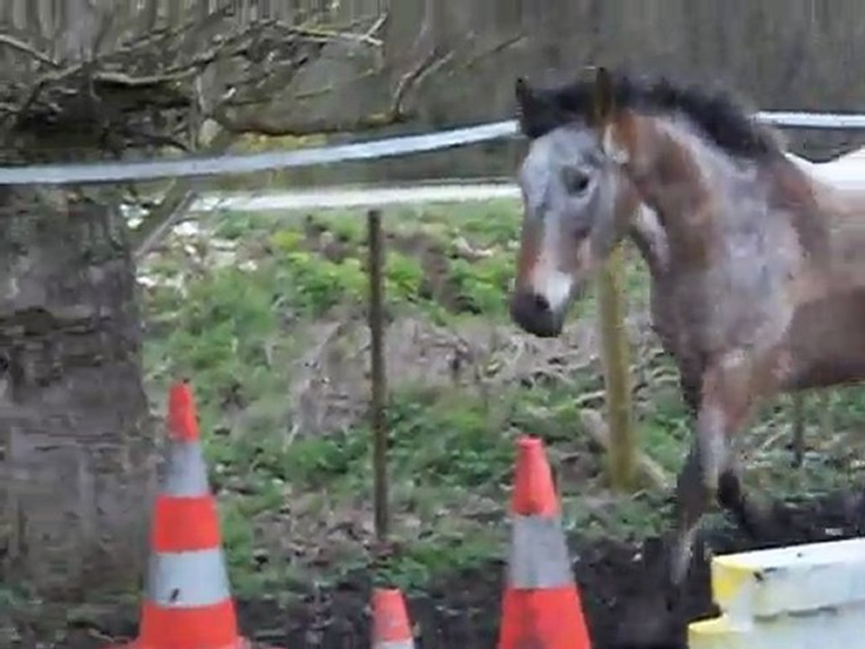 Les deux tarrée ♥