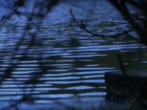 Robert Lauri - Overnight Trip