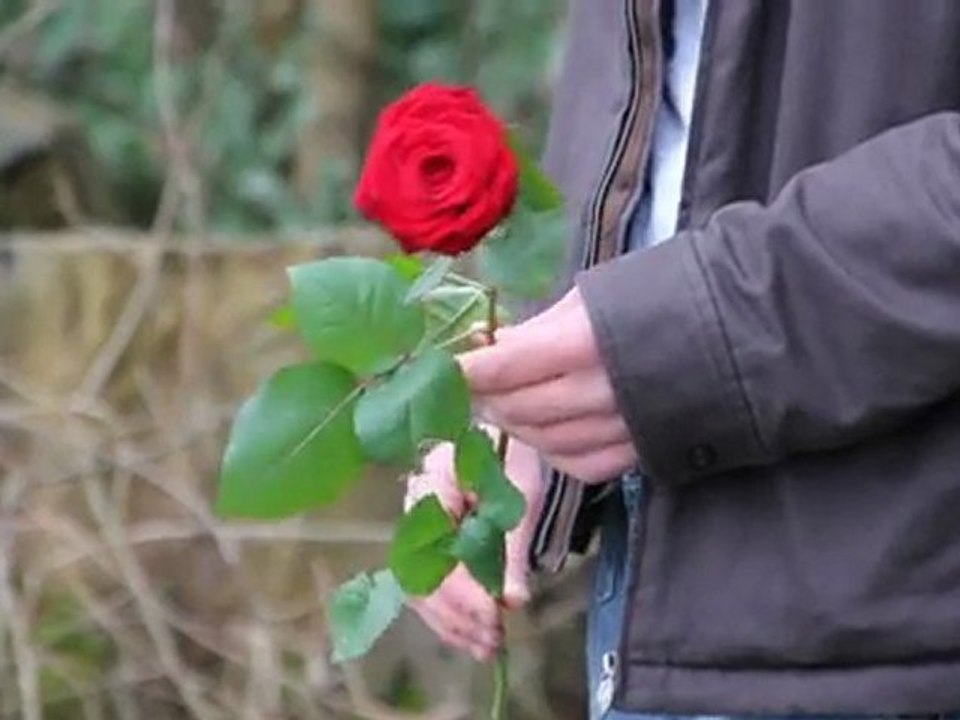 La Mémoire d'un Frère