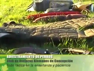 COACCH Concepción en Canal 9 Regional