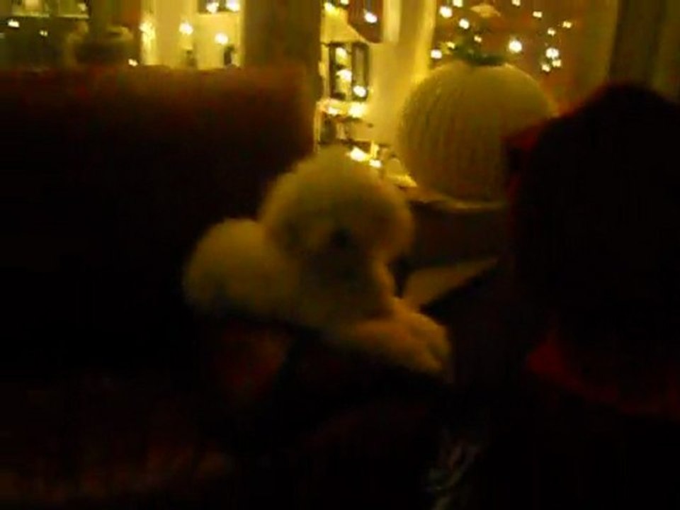 this is my dog barking. ^_^