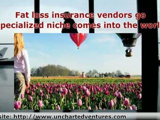 Consumers on Travel Insurance Comparison