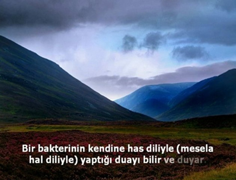 Bize Bizden Daha Yakın Rabbimiz Var