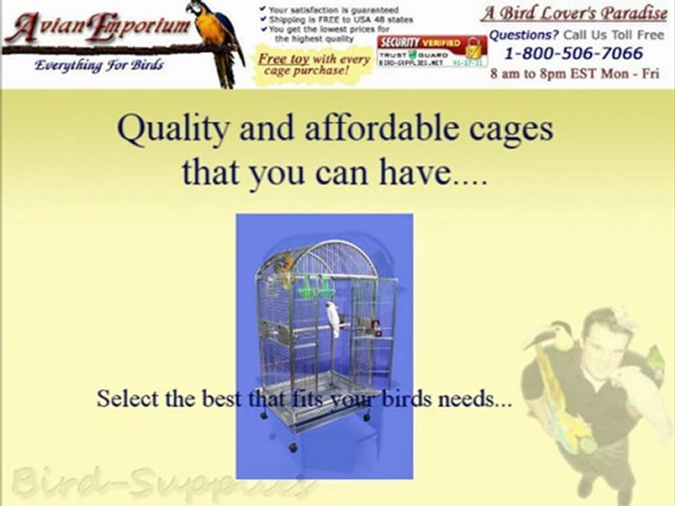 Affordable Cockatiels Cages