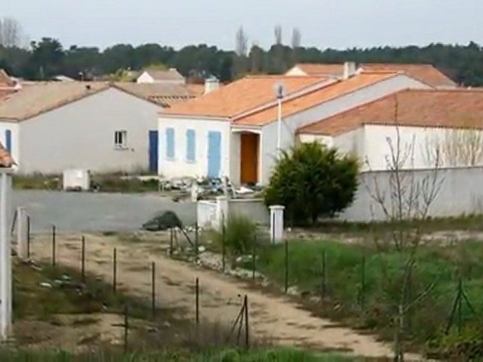 Diapo sorti 20/03/2011