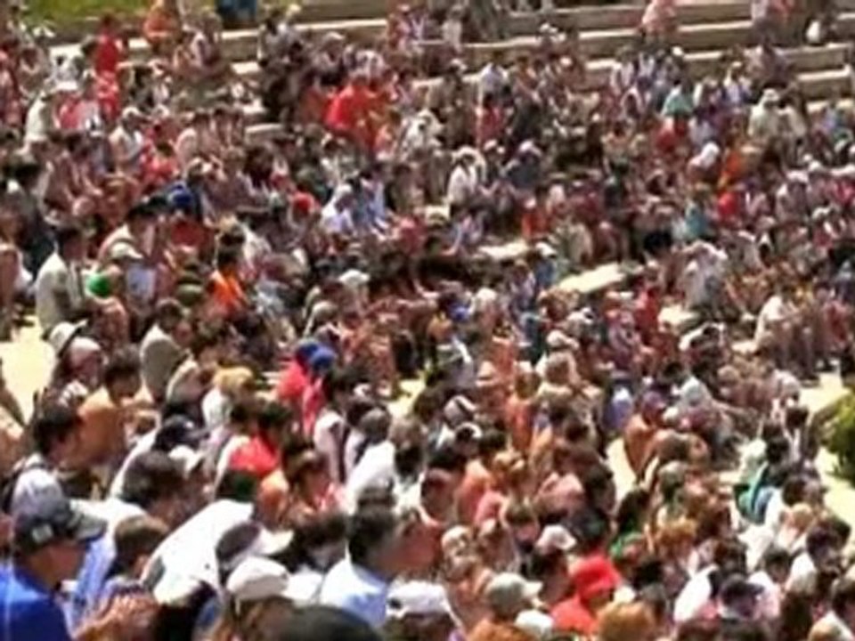 Dog PLR, Pet PLR, PLR Articles