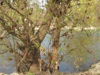 ainsi coulait la Marne...