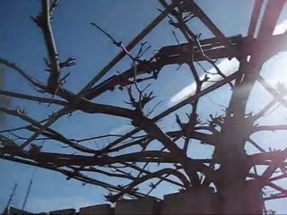 Beboparket houten vloeren, laminaat, parket, lamelparket, vloer, vloeren hout