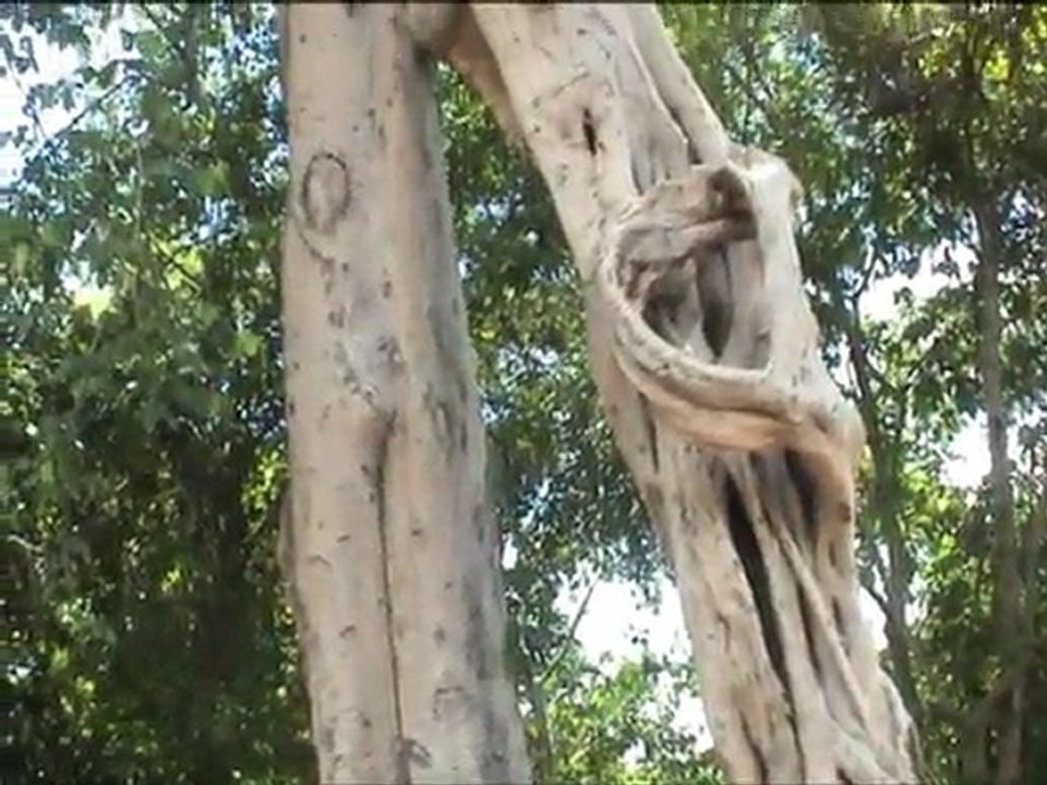05 Cambodia Cro 2 od 2