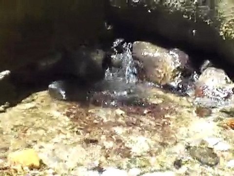 Fındıklı Köyü Patlak Suyu