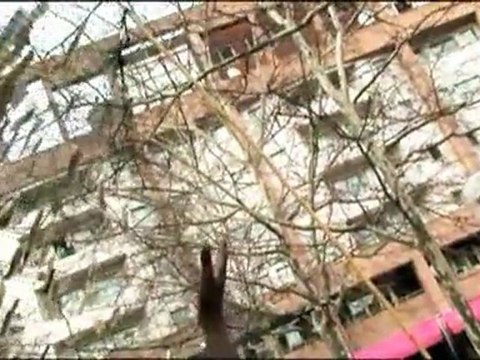 Flash Mob Rhône Alpes 50 ans CCFD