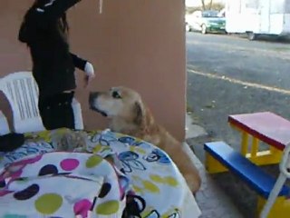 Vinyl qui cabre sur lui maime