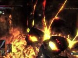 Guide Demon's Souls HD FR 015