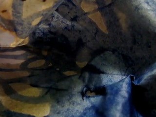 mijn film    DELFTS BLAUW