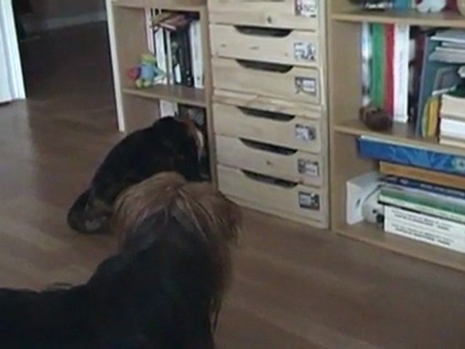 Fifille s'amuse
