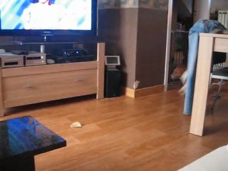 Tonic (censé être un peu KO)