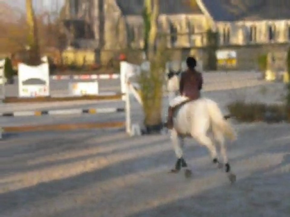 Irish Bee 06.03.11