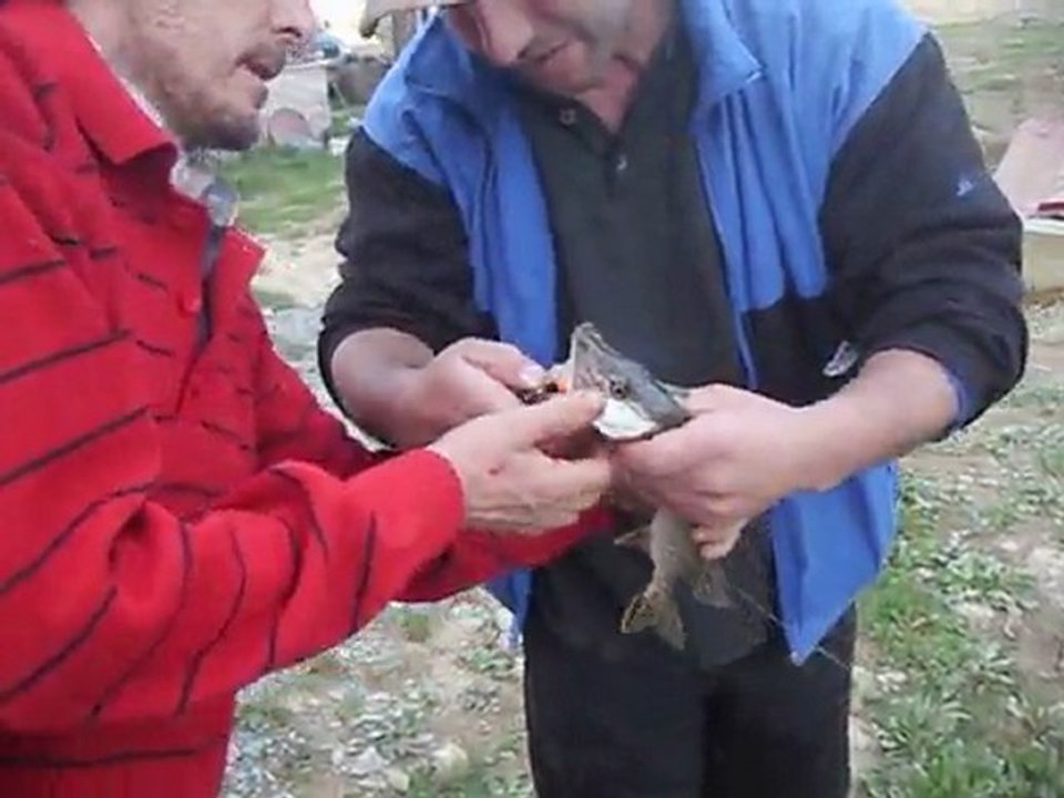 27 mart....... karasu....