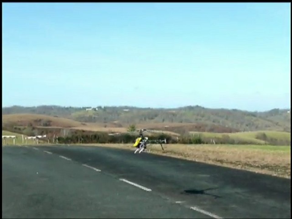 2011-02-20 Hasparren TRex 600 Voltige Pascal n°1