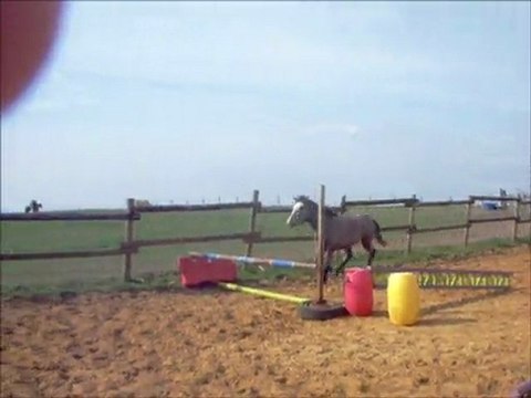 Vacadam Star Troides : 1ère séance de saut en liberté