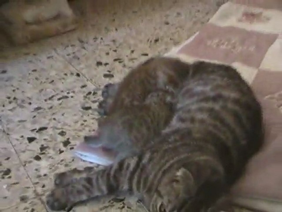 Après l'effort...le réconfort!