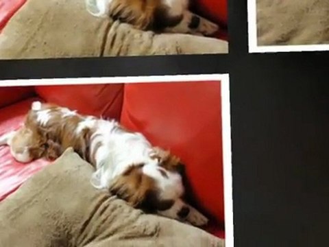 愛する時間 Ryu siwon