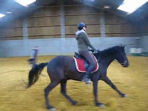 Ulys cours 26 mars galop